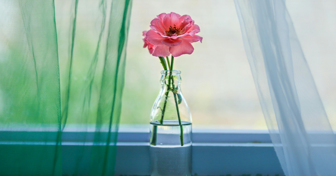 A single pink flower in a small glass bottle on a windowsill, soft green curtains framing a garden view beyond