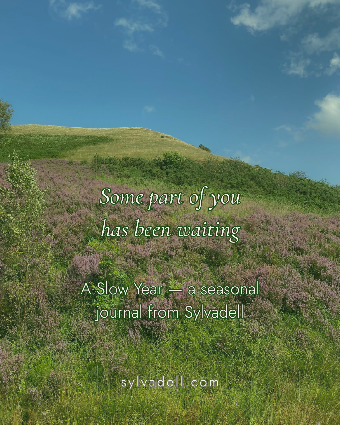 A Slow Year — A Seasonal Reflection & Nature Journal (Digital PDF)
