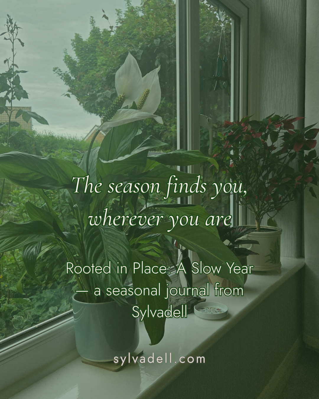 A windowsill with houseplants with the text 'The season finds you wherever you are'.